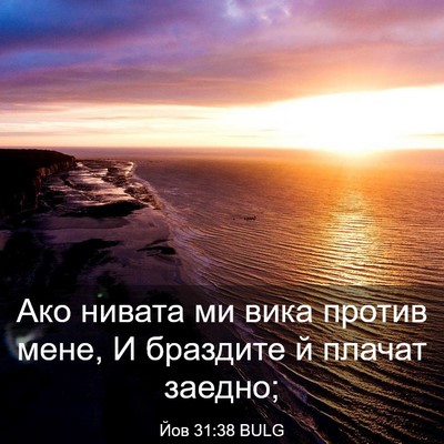 Picture 03 - Йов 31:38 BULG - Ако нивата ми вика против - Bible Verse Picture