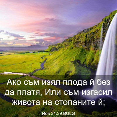 Picture 03 - Йов 31:39 BULG - Ако съм изял плода й без да - Bible Verse Picture