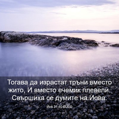 Picture 03 - Йов 31:40 BULG - Тогава да израстат тръни - Bible Verse Picture