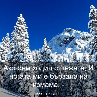 Picture 03 - Йов 31:5 BULG - Ако съм ходил с лъжата, И - Bible Verse Picture