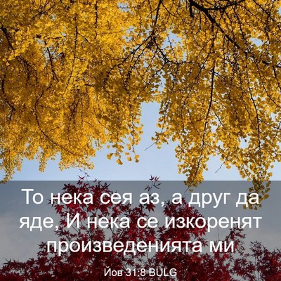 Picture 03 - Йов 31:8 BULG - То нека сея аз, а друг да - Bible Verse Picture