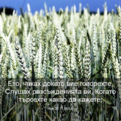 Picture 03 - Йов 32:11 BULG - Ето, чаках докато вие - Bible Verse Picture