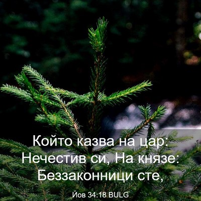 Picture 03 - Йов 34:18 BULG - Който казва на цар: - Bible Verse Picture