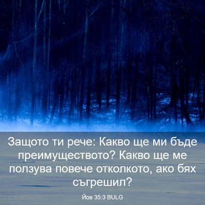 Picture 03 - Йов 35:3 BULG - Защото ти рече: Какво ще ми - Bible Verse Picture