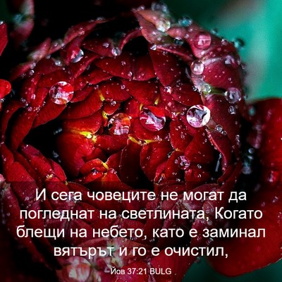 Picture 03 - Йов 37:21 BULG - И сега човеците не могат да - Bible Verse Picture