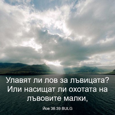 Picture 03 - Йов 38:39 BULG - Улавят ли лов за лъвицата? - Bible Verse Picture