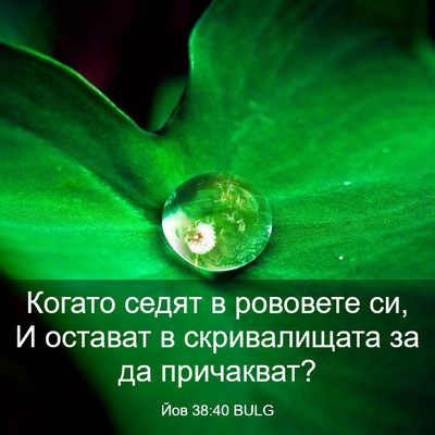 Picture 03 - Йов 38:40 BULG - Когато седят в рововете си, - Bible Verse Picture