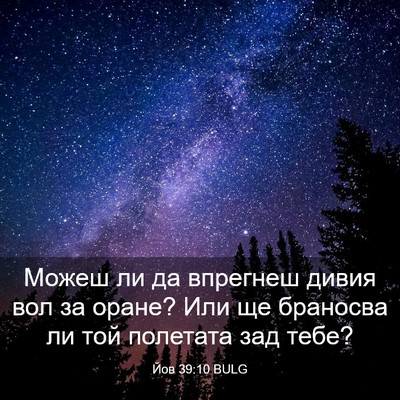 Picture 03 - Йов 39:10 BULG - Можеш ли да впрегнеш дивия - Bible Verse Picture