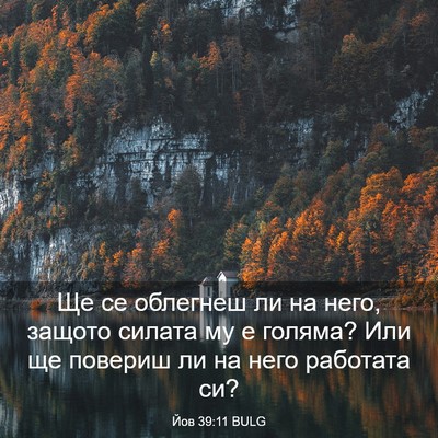 Picture 03 - Йов 39:11 BULG - Ще се облегнеш ли на него, - Bible Verse Picture