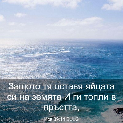 Picture 03 - Йов 39:14 BULG - Защото тя оставя яйцата си - Bible Verse Picture