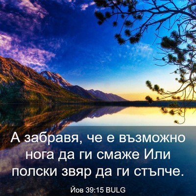 Picture 03 - Йов 39:15 BULG - А забравя, че е възможно - Bible Verse Picture