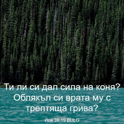 Picture 03 - Йов 39:19 BULG - Ти ли си дал сила на коня? - Bible Verse Picture