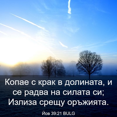 Picture 03 - Йов 39:21 BULG - Копае с крак в долината, и - Bible Verse Picture