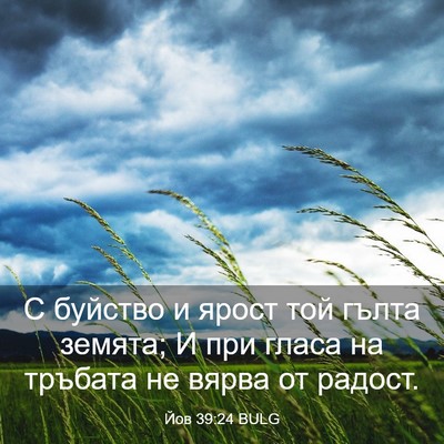 Picture 03 - Йов 39:24 BULG - С буйство и ярост той гълта - Bible Verse Picture