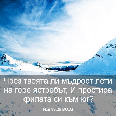 Picture 03 - Йов 39:26 BULG - Чрез твоята ли мъдрост - Bible Verse Picture