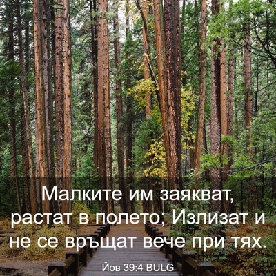 Picture 03 - Йов 39:4 BULG - Малките им заякват, растат - Bible Verse Picture