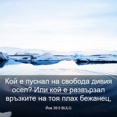 Picture 03 - Йов 39:5 BULG - Кой е пуснал на свобода - Bible Verse Picture