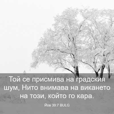 Picture 03 - Йов 39:7 BULG - Той се присмива на - Bible Verse Picture