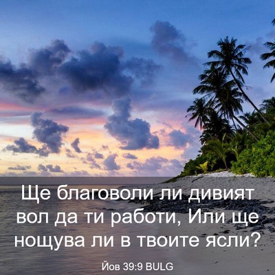 Picture 03 - Йов 39:9 BULG - Ще благоволи ли дивият вол - Bible Verse Picture
