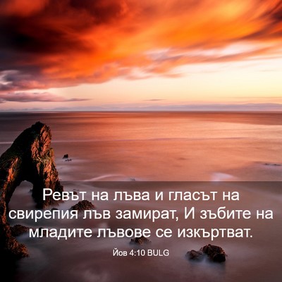 Picture 03 - Йов 4:10 BULG - Ревът на лъва и гласът на - Bible Verse Picture