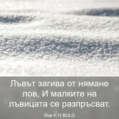 Picture 03 - Йов 4:11 BULG - Лъвът загива от нямане лов, - Bible Verse Picture