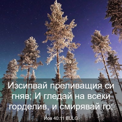 Picture 03 - Йов 40:11 BULG - Изсипвай преливащия си - Bible Verse Picture