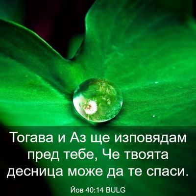 Picture 03 - Йов 40:14 BULG - Тогава и Аз ще изповядам - Bible Verse Picture