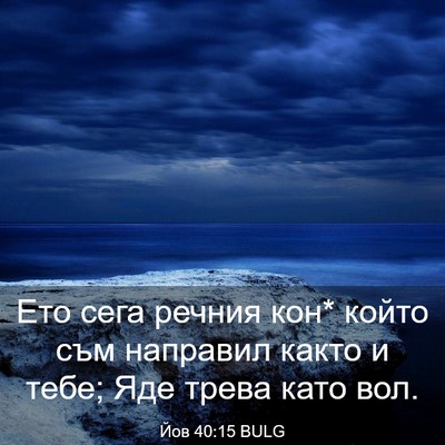 Picture 03 - Йов 40:15 BULG - Ето сега речния кон* който - Bible Verse Picture