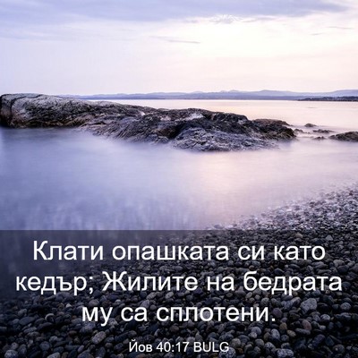 Picture 03 - Йов 40:17 BULG - Клати опашката си като - Bible Verse Picture