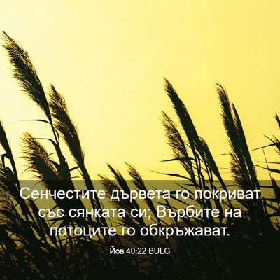 Picture 03 - Йов 40:22 BULG - Сенчестите дървета го - Bible Verse Picture