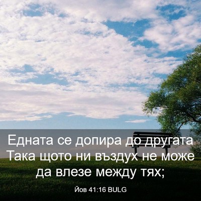 Picture 03 - Йов 41:16 BULG - Едната се допира до - Bible Verse Picture