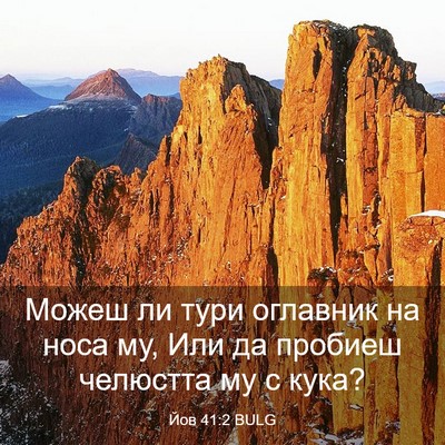 Picture 03 - Йов 41:2 BULG - Можеш ли тури оглавник на - Bible Verse Picture