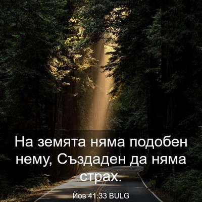 Picture 03 - Йов 41:33 BULG - На земята няма подобен - Bible Verse Picture