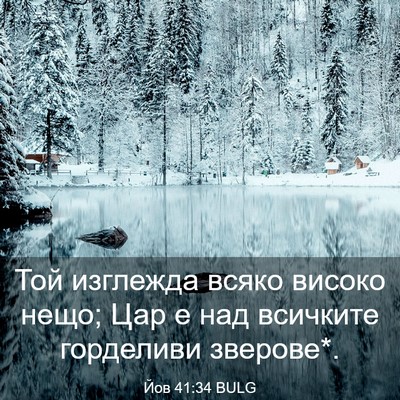 Picture 03 - Йов 41:34 BULG - Той изглежда всяко високо - Bible Verse Picture