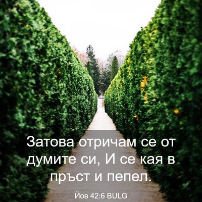 Picture 03 - Йов 42:6 BULG - Затова отричам се от - Bible Verse Picture