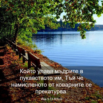 Picture 03 - Йов 5:13 BULG - Който улавя мъдрите в - Bible Verse Picture