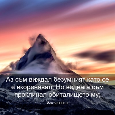 Picture 03 - Йов 5:3 BULG - Аз съм виждал безумният - Bible Verse Picture