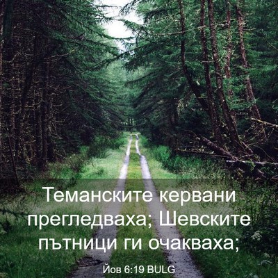 Picture 03 - Йов 6:19 BULG - Теманските кервани - Bible Verse Picture