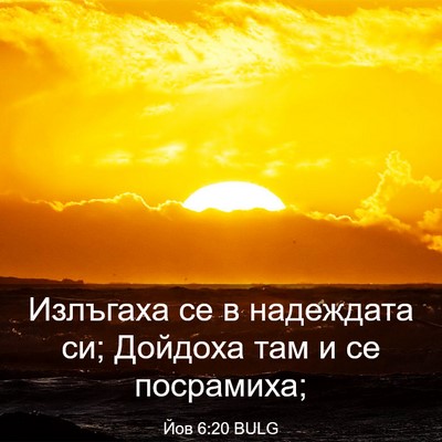 Picture 03 - Йов 6:20 BULG - Излъгаха се в надеждата си; - Bible Verse Picture