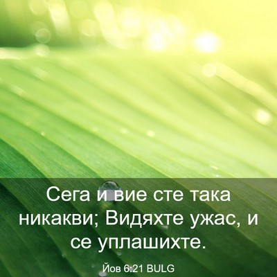 Picture 03 - Йов 6:21 BULG - Сега и вие сте така - Bible Verse Picture