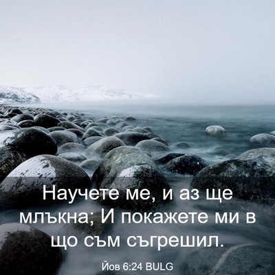 Picture 03 - Йов 6:24 BULG - Научете ме, и аз ще млъкна; - Bible Verse Picture