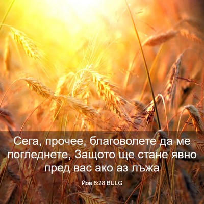 Picture 03 - Йов 6:28 BULG - Сега, прочее, благоволете - Bible Verse Picture