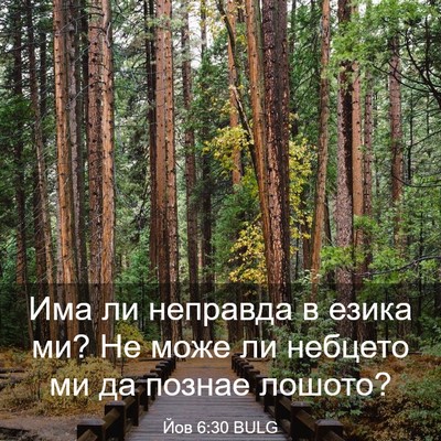 Picture 03 - Йов 6:30 BULG - Има ли неправда в езика ми? - Bible Verse Picture