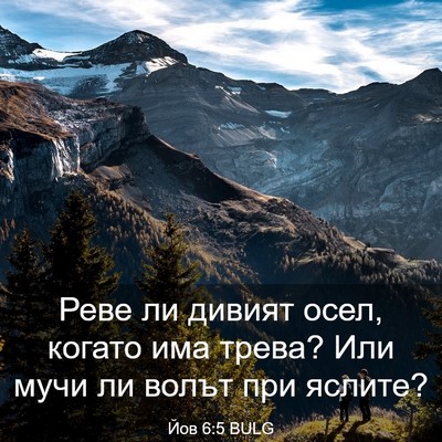 Picture 03 - Йов 6:5 BULG - Реве ли дивият осел, когато - Bible Verse Picture