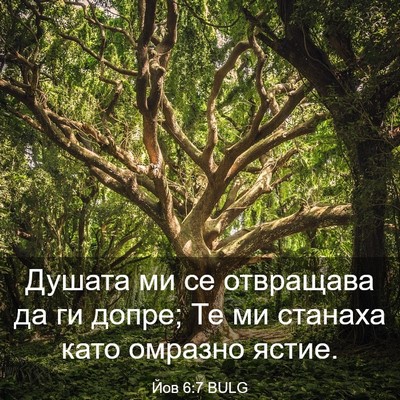 Picture 03 - Йов 6:7 BULG - Душата ми се отвращава да - Bible Verse Picture