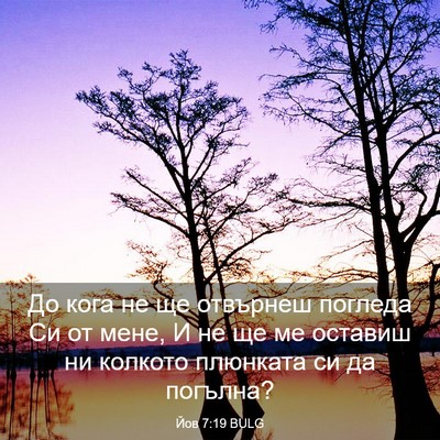 Picture 03 - Йов 7:19 BULG - До кога не ще отвърнеш - Bible Verse Picture