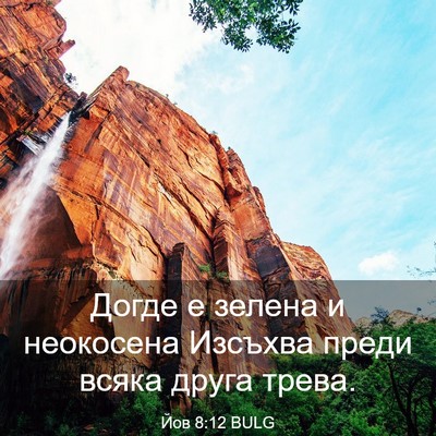 Picture 03 - Йов 8:12 BULG - Догде е зелена и неокосена - Bible Verse Picture