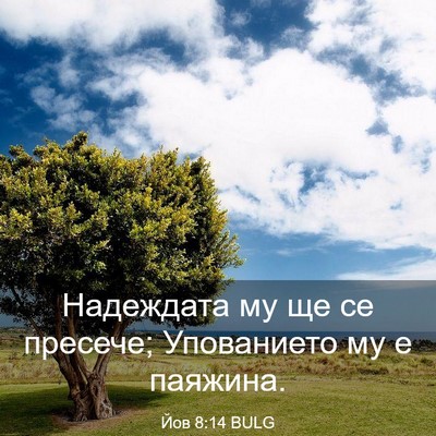 Picture 03 - Йов 8:14 BULG - Надеждата му ще се пресече; - Bible Verse Picture