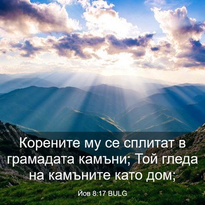 Picture 03 - Йов 8:17 BULG - Корените му се сплитат в - Bible Verse Picture