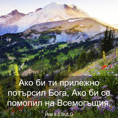 Picture 03 - Йов 8:5 BULG - Ако би ти прилежно - Bible Verse Picture